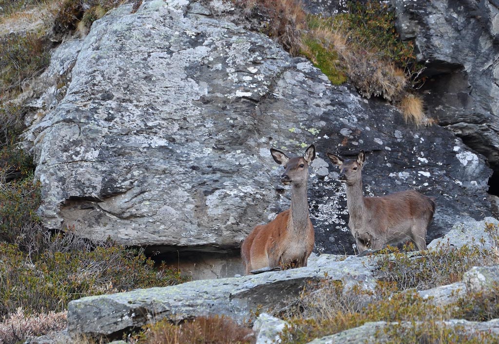 DS5_2635.jpg