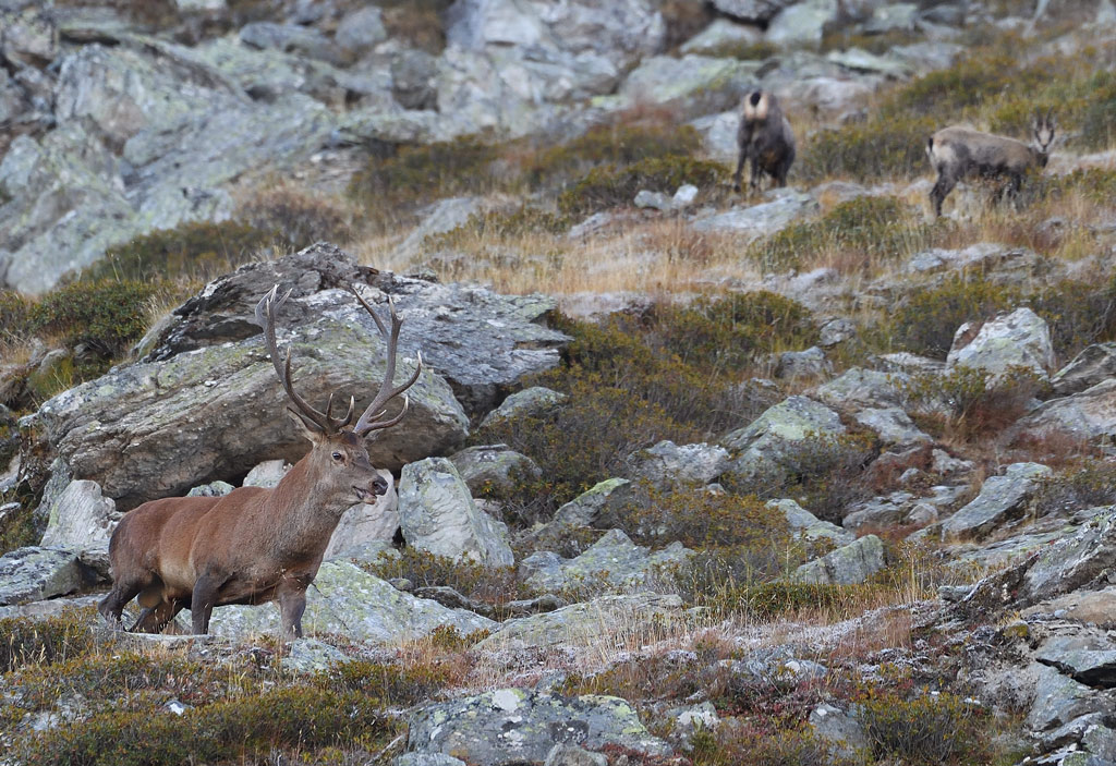 DS5_2652.jpg