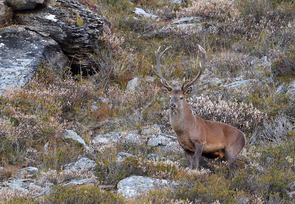 DS5_2662.jpg