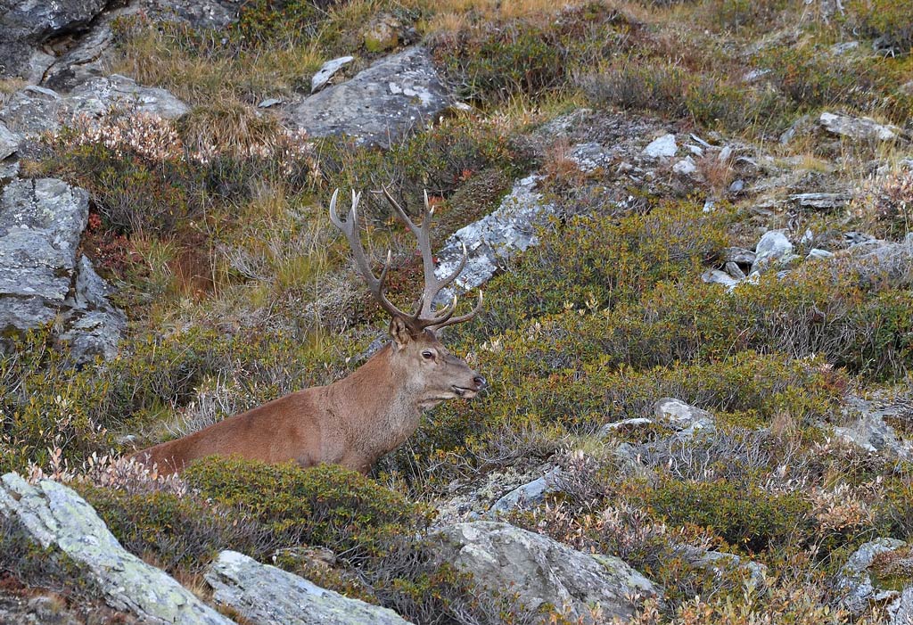 DS5_2663.jpg