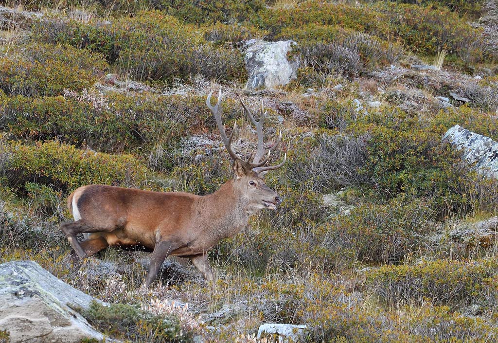 DS5_2666.jpg