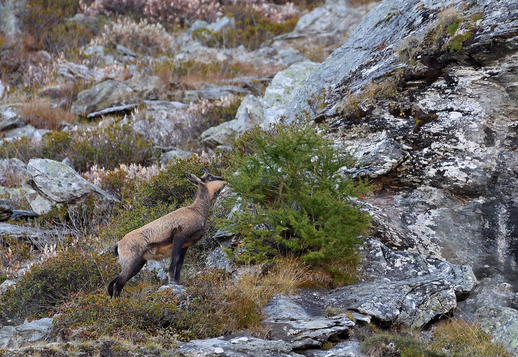 DS5_2676.jpg