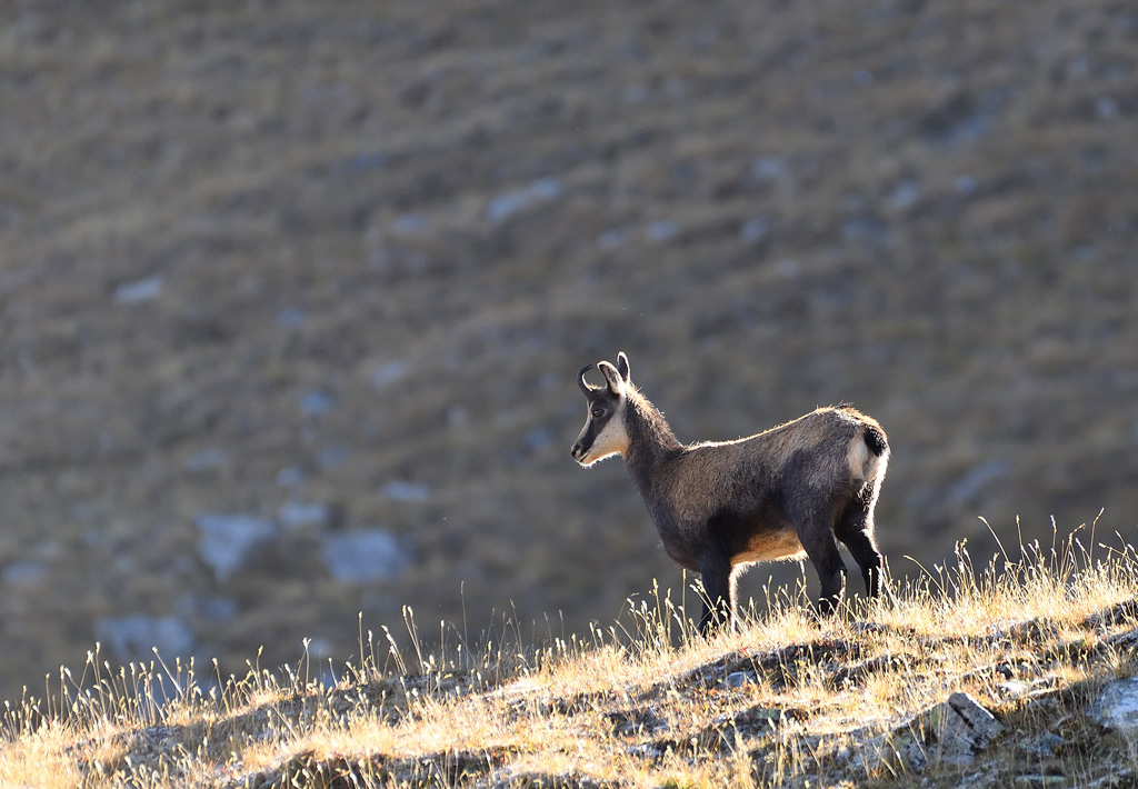 DS5_2688.jpg
