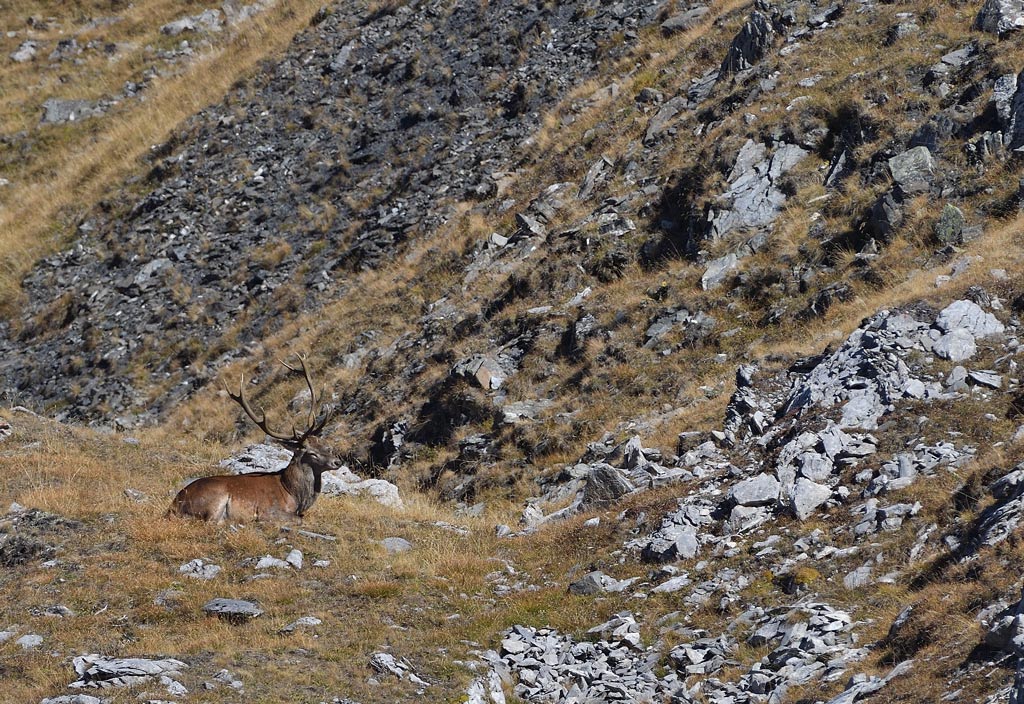 DS5_2694.jpg