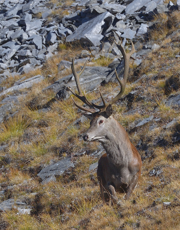DS5_2725.jpg