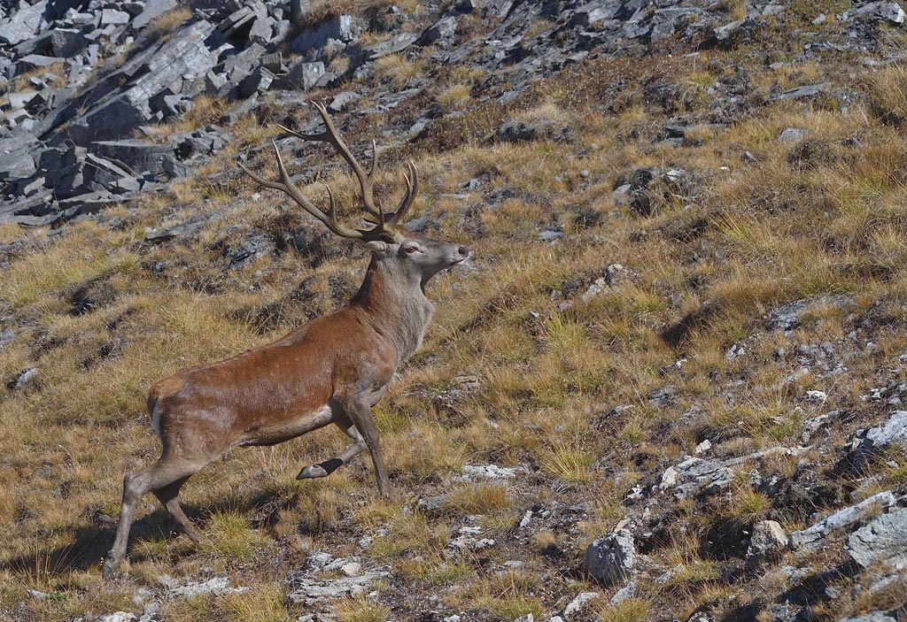 DS5_2733.jpg
