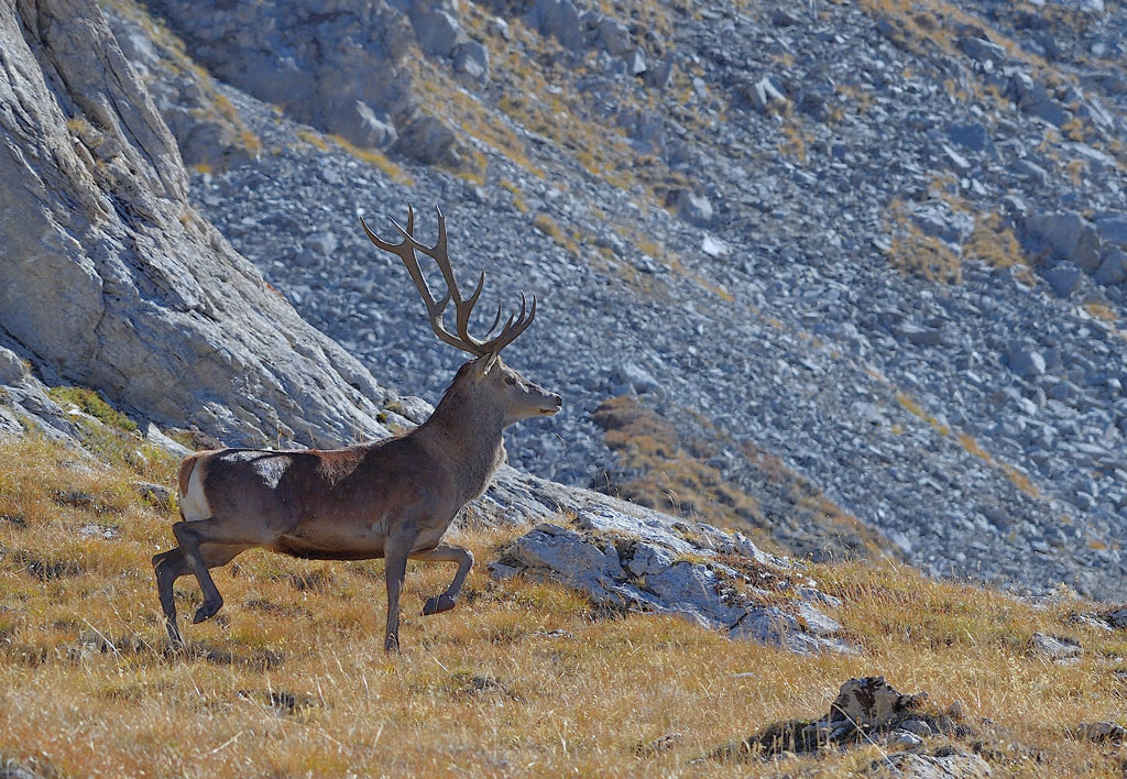 DS5_2751.jpg