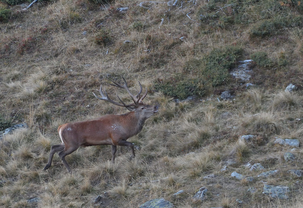 DSC_6182.jpg