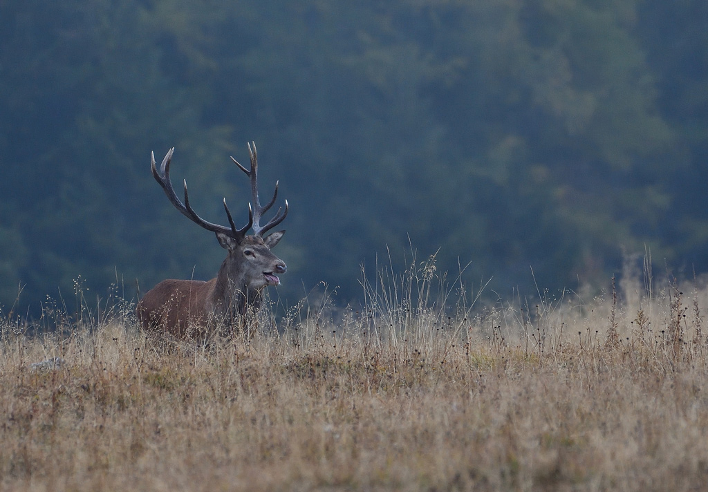 DSC_6193.jpg