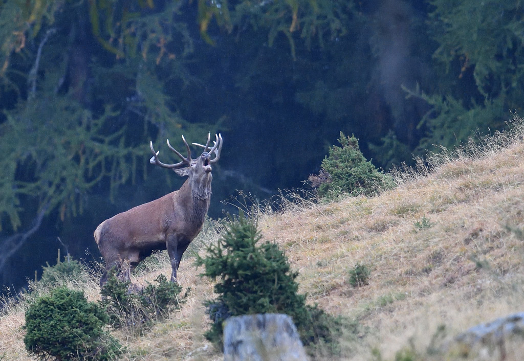 DS5_2855.jpg