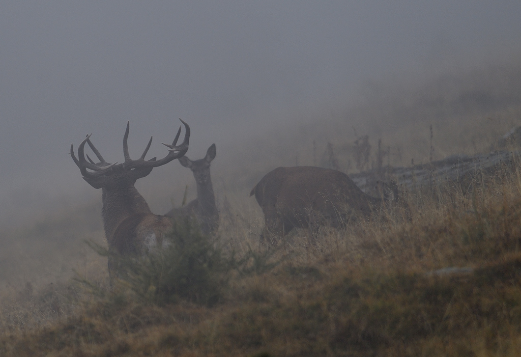 DS5_2966.jpg