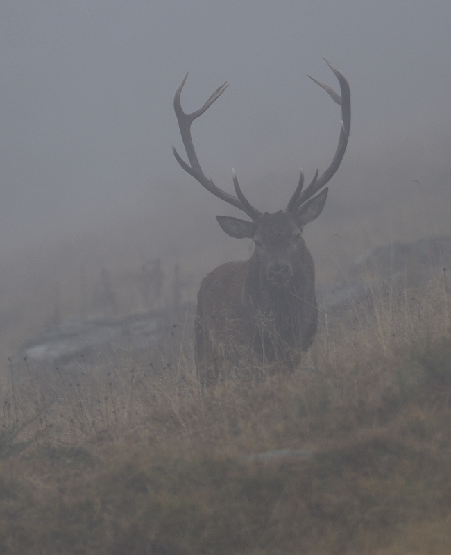 DS5_2969.jpg