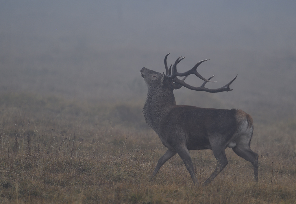 DS5_2999.jpg
