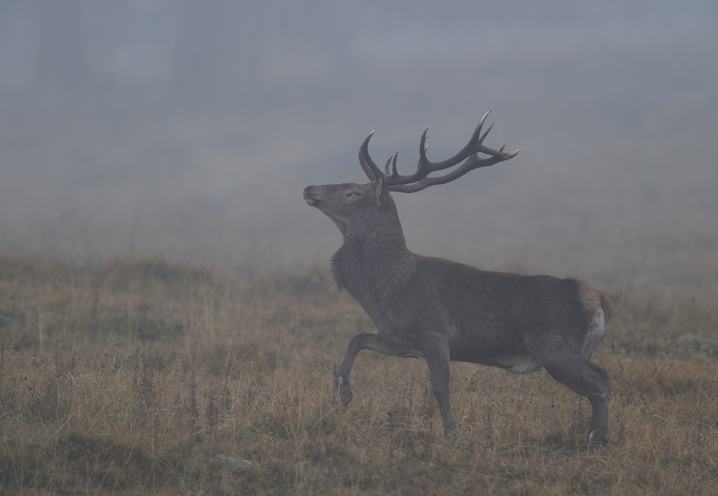 DS5_3005.jpg