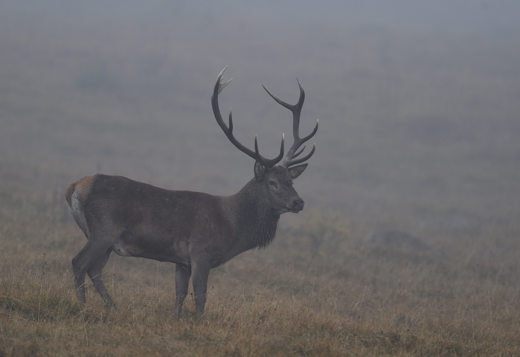 DS5_3019.jpg