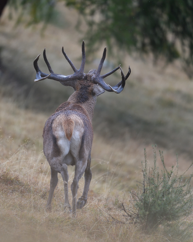 DS5_3030.jpg