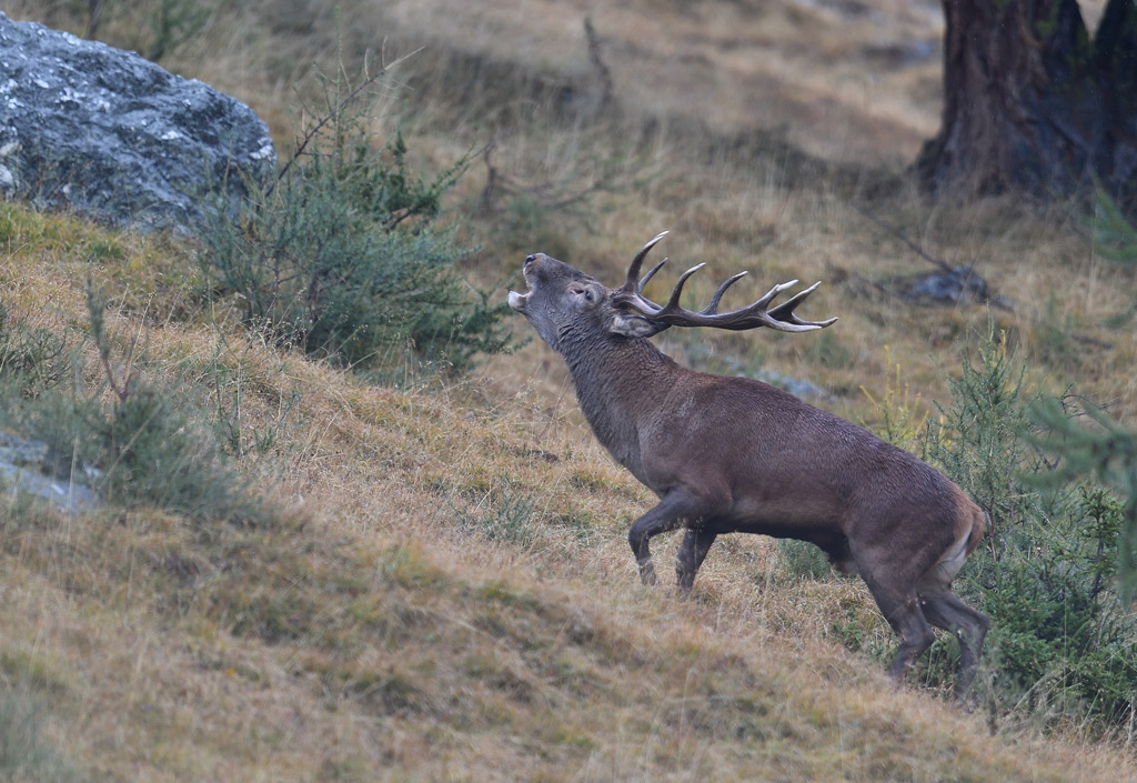 DS5_3045.jpg