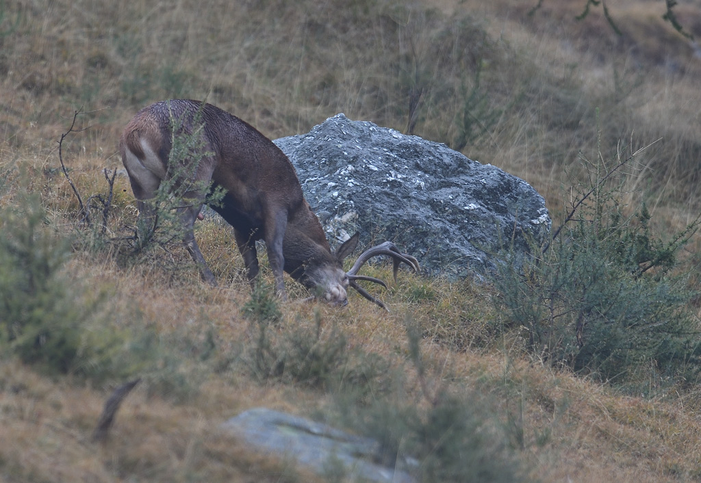 DS5_3075.jpg