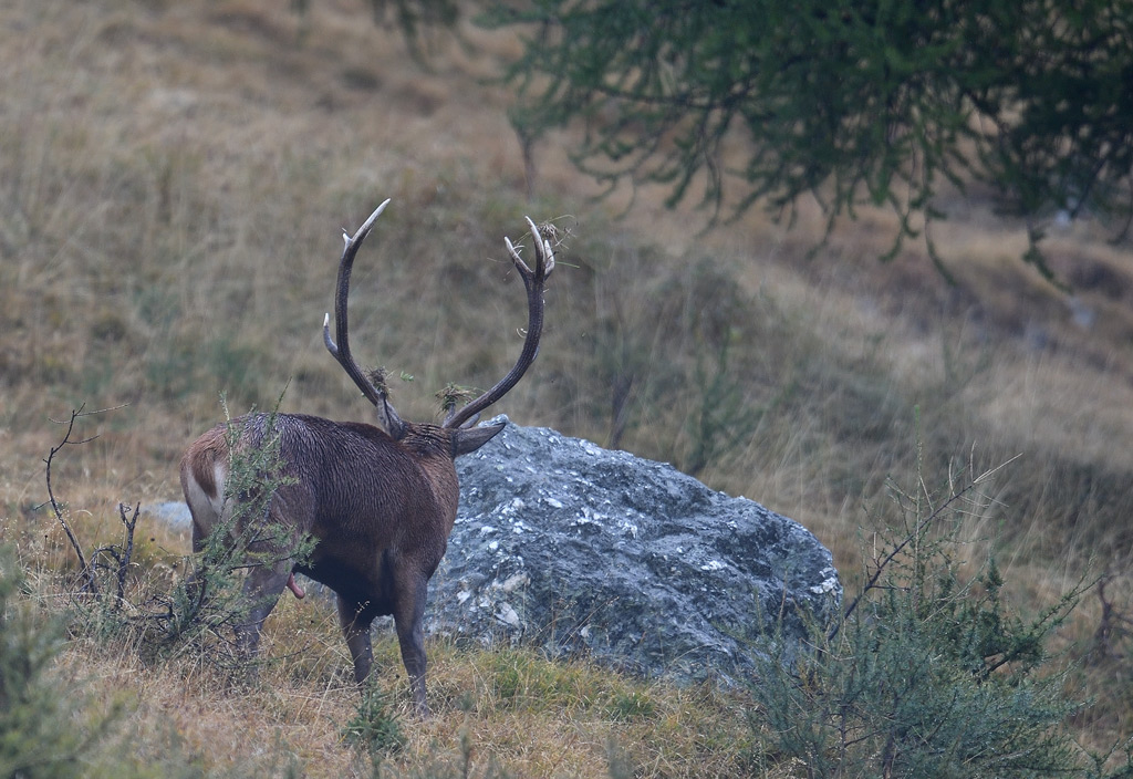 DS5_3077.jpg