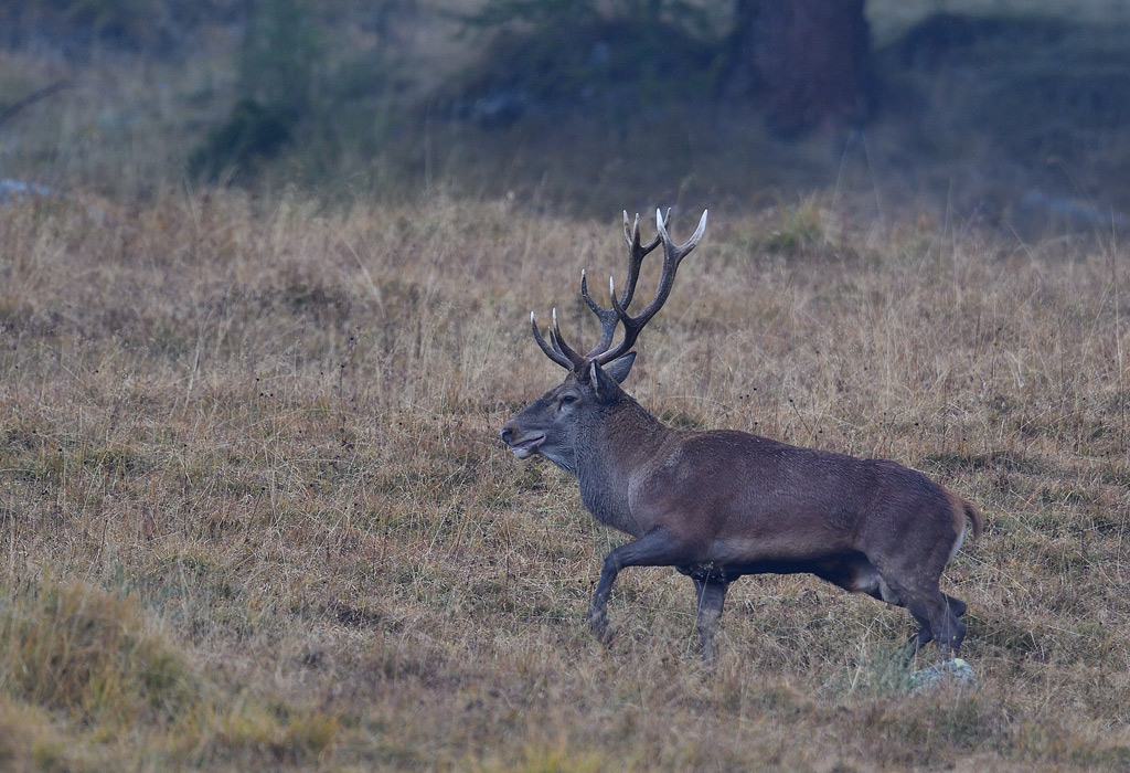 DS5_3114.jpg