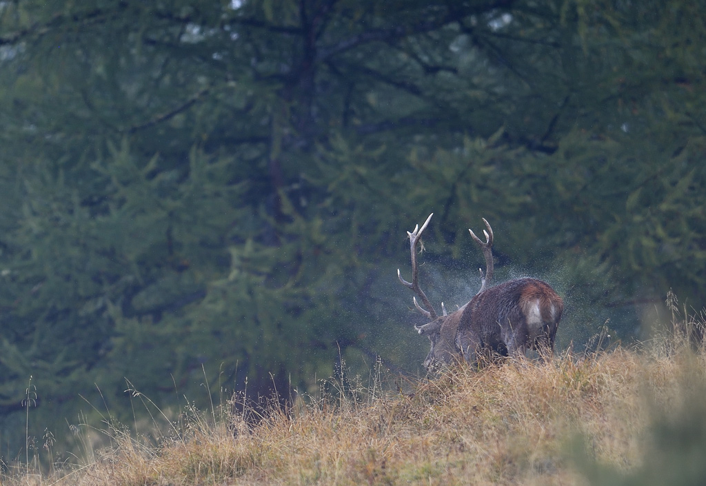 DS5_3144.jpg