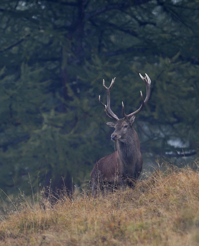 DS5_3156.jpg