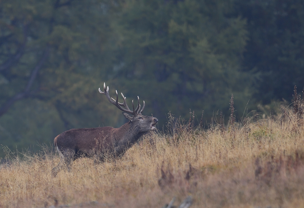 DS5_3157.jpg
