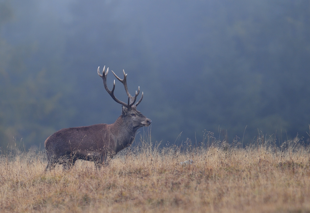 DS5_3162.jpg