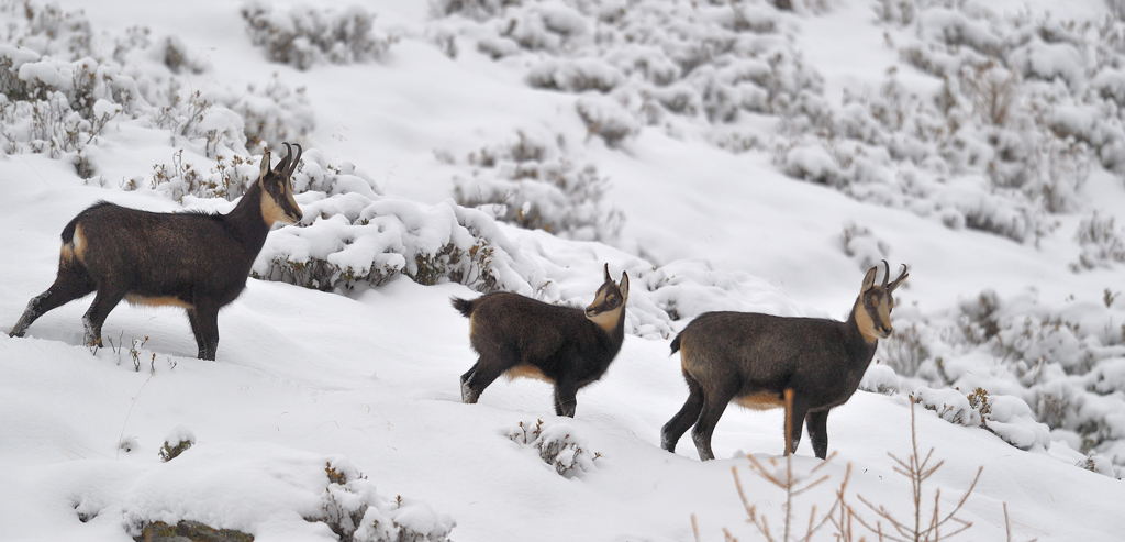 DS5_3980.jpg