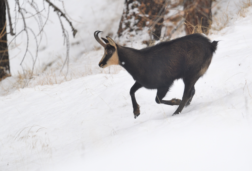 DS5_4028.jpg