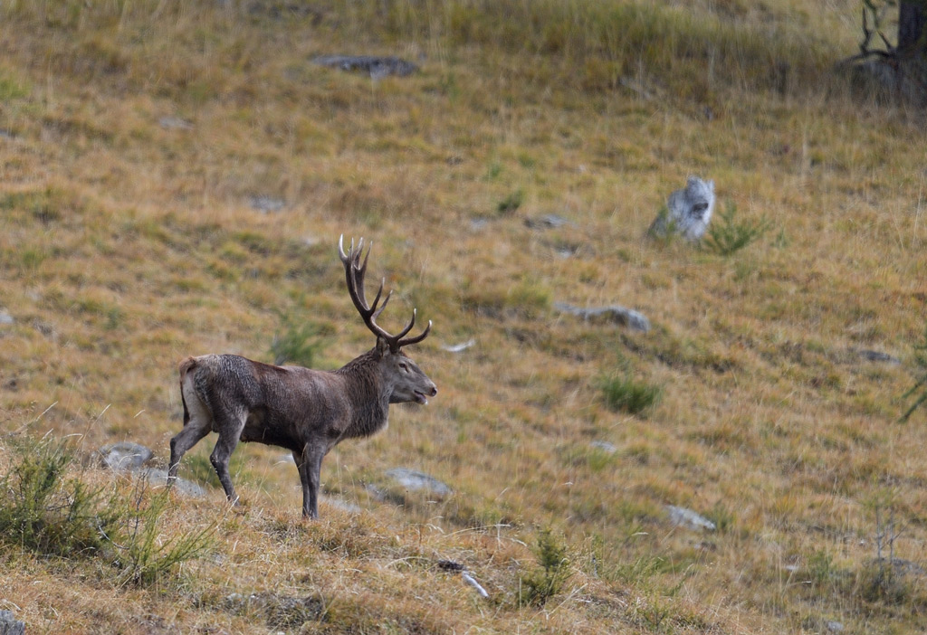 DS5_3219.jpg