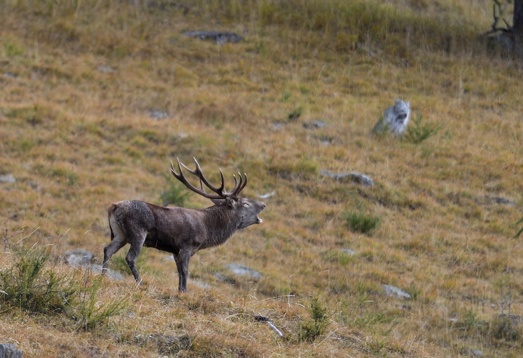 DS5_3220.jpg