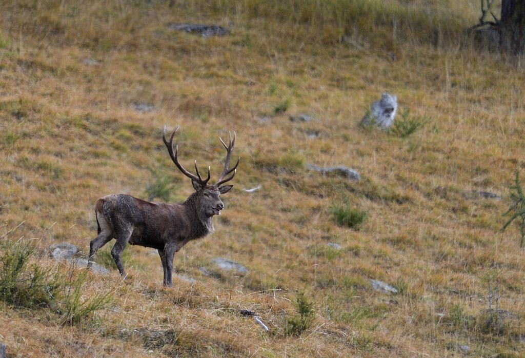DS5_3224.jpg