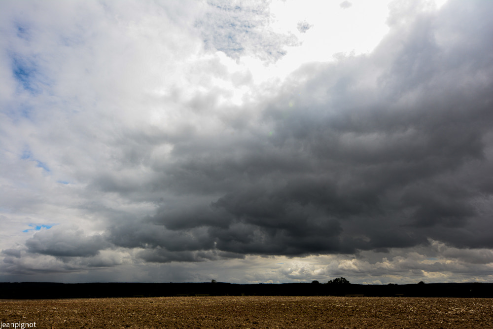 DSC_1108_528.JPG