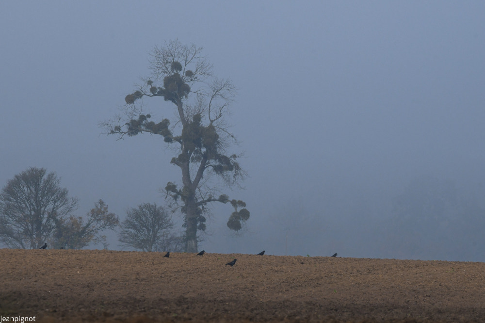 DSC_2133_534.JPG
