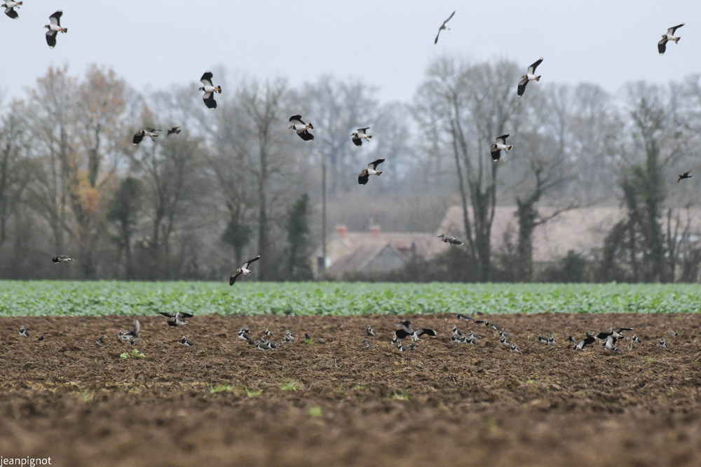 DSC_5136-2_523.JPG