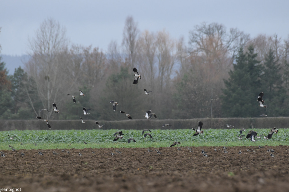 DSC_5346_526.JPG
