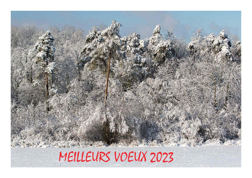 Voeux 2023.jpg