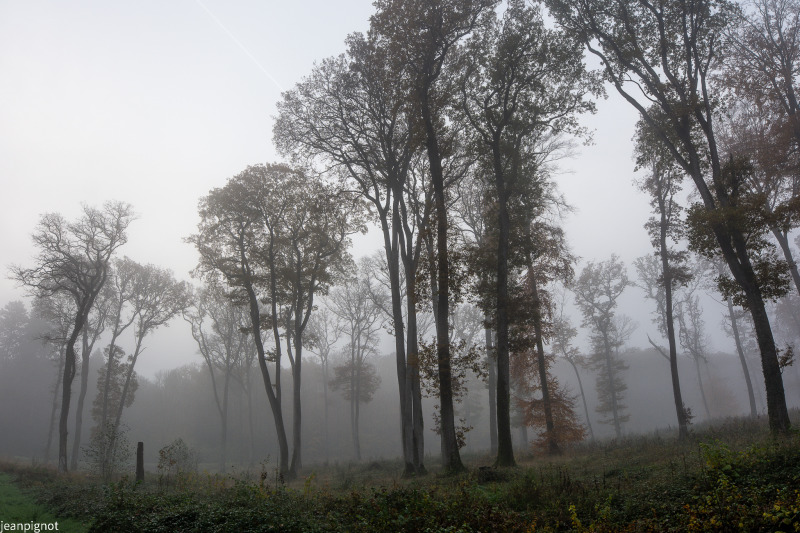 DSC_1463_633.JPG