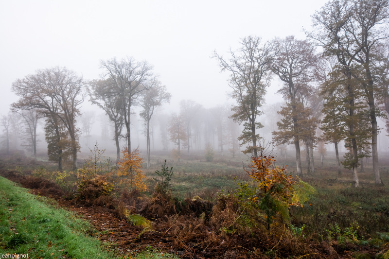 DSC_1466_637.JPG