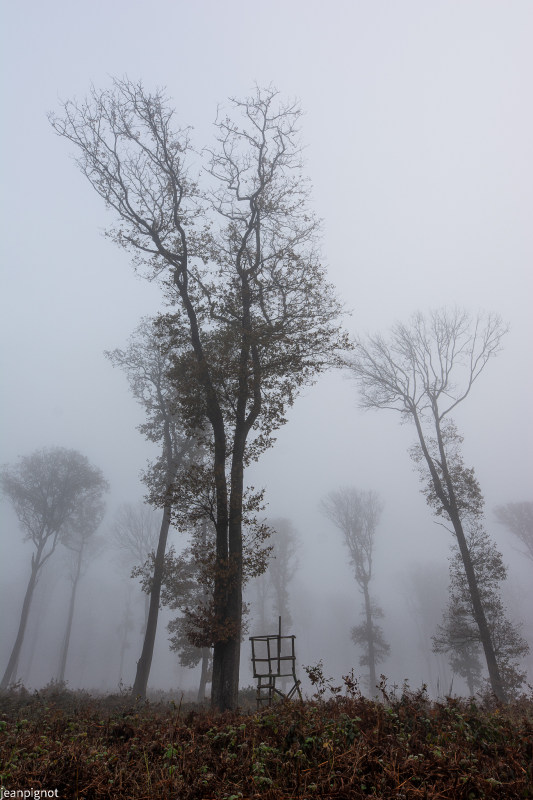 DSC_1460_639.JPG