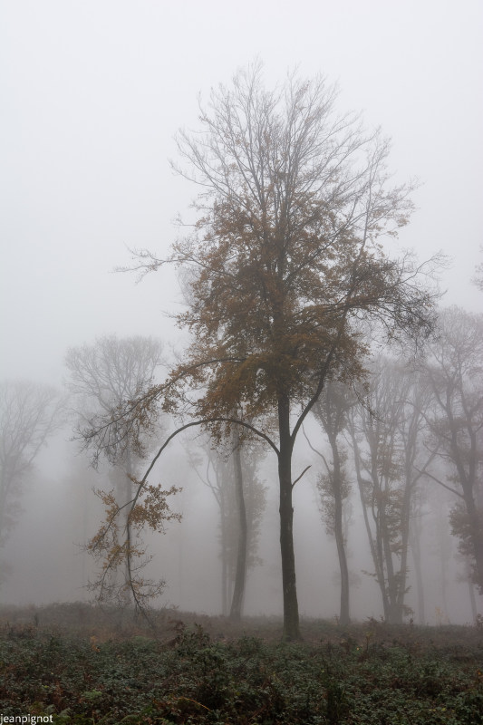DSC_1472_640.JPG