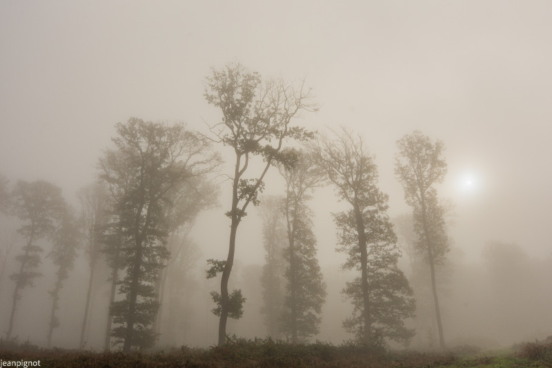 DSC_1306-2_634.JPG
