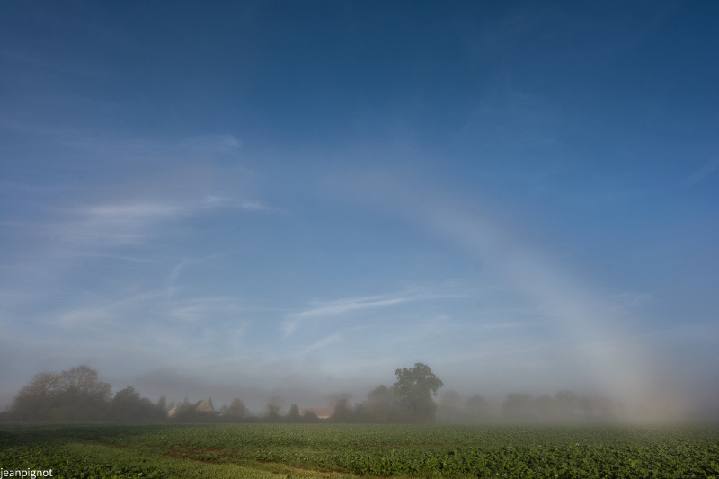 DSC_1338_635.JPG