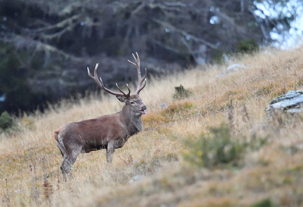 DS5_3345.jpg