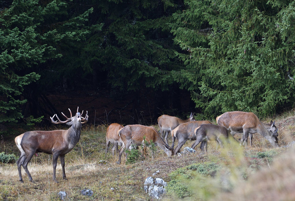 DSC_6275.jpg