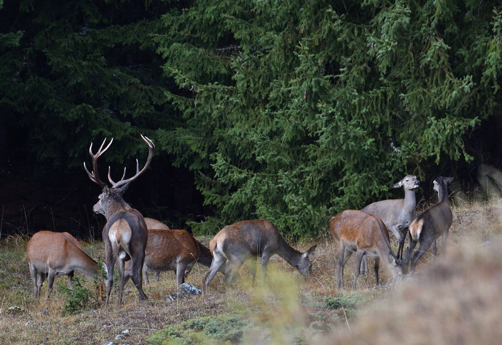 DSC_6279.jpg