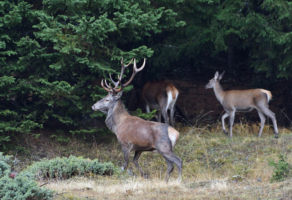 DSC_6298.jpg