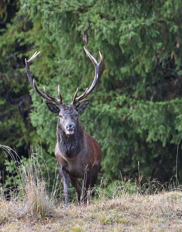 DSC_6302.jpg