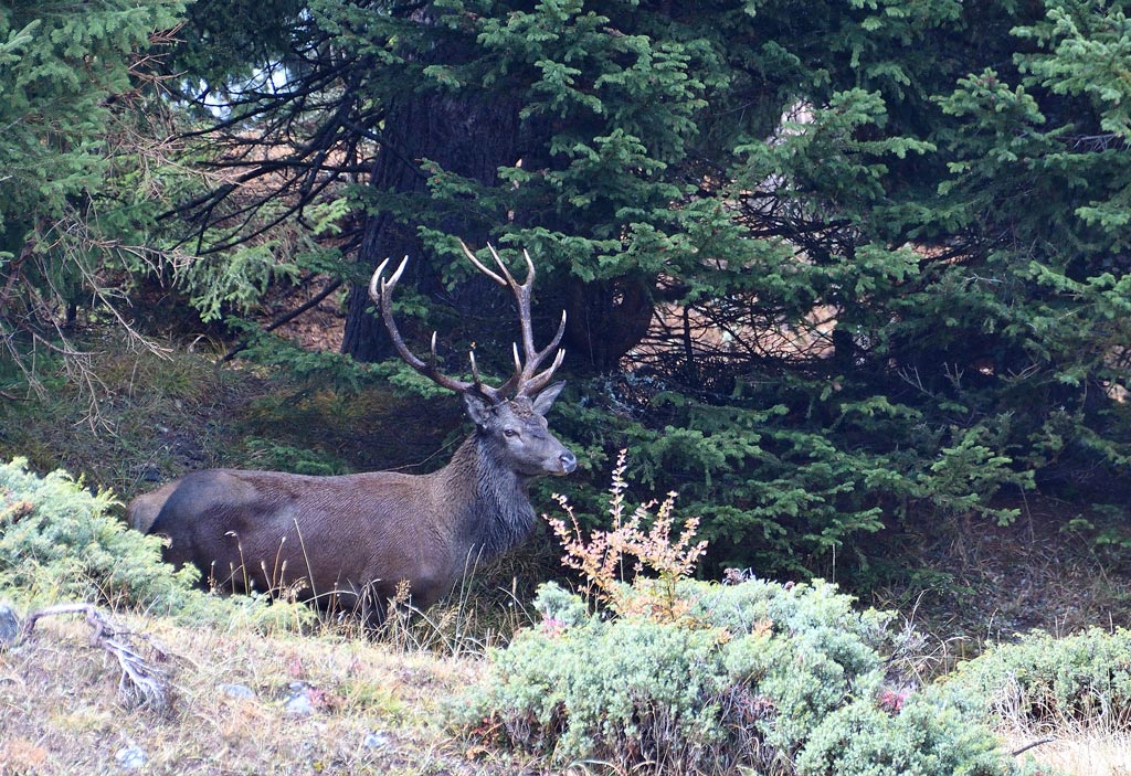 DSC_6314.jpg